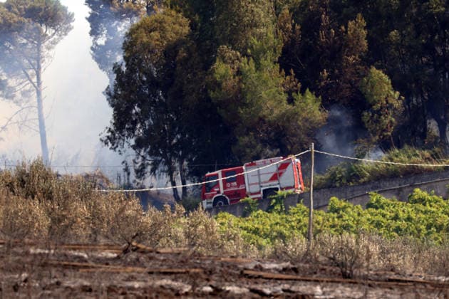 Wildfires continue on the Italian island of Sicily PALERMO, ITALY - JULY 11: Italian firefighters battle a wildfire that broke out in a maquis-shrubland area near the Partinico municipality of Palermo in Sicily, Italy on July 11, 2026. Firefighting teams intervened with ground crews, water-discharging aircraft, and helicopters to bring the blaze under control. Alberto Lo Bianco Anadolu Sicily Italy. Editorial use only. Please get in touch for any other usage.  Copyright: x2026xAnadoluxAlbertoxLoxBiancox