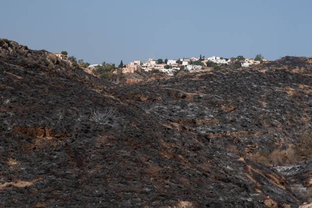 At least 12 dead in Los Gallardos wildfire in Almería, southern Spain - 11 Jul 2026 General view of Bédar, one of the municipalities evacuated due to the Los Gallardos wildfire. The Los Gallardos wildfire in Almería, Spain, has left 12 people dead, 7 people missing, and more than 6,000 hectares burned. On the ground, around 540 personnel deployed by the Spanish Government are involved in the response, including members of the Civil Guard, Civil Protection, and the Military Emergency Unit (UME). Los Gallardos Spain Copyright: xFrancisxGonzalezx xSOPAxImagesx INCENDIO-ALMERIA-20260711-FRANCIS-001