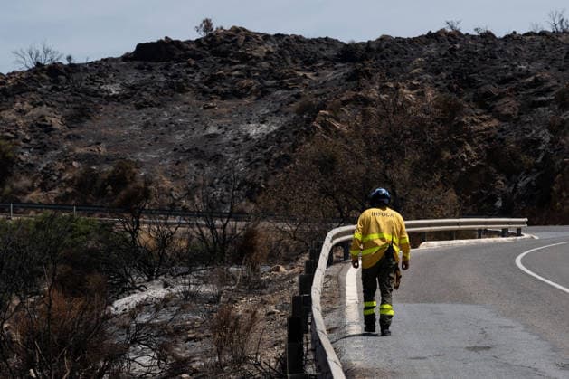 At least 12 dead in Los Gallardos wildfire in Almería, southern Spain - 11 Jul 2026 An INFOCA wildfire firefighter seen during the operations to stabilize the Los Gallardos wildfire. The Los Gallardos wildfire in Almería, Spain, has left 12 people dead, 7 people missing, and more than 6,000 hectares burned. On the ground, around 540 personnel deployed by the Spanish Government are involved in the response, including members of the Civil Guard, Civil Protection, and the Military Emergency Unit (UME). Los Gallardos Spain Copyright: xFrancisxGonzalezx xSOPAxImagesx INCENDIO-ALMERIA-20260711-FRANCIS-037