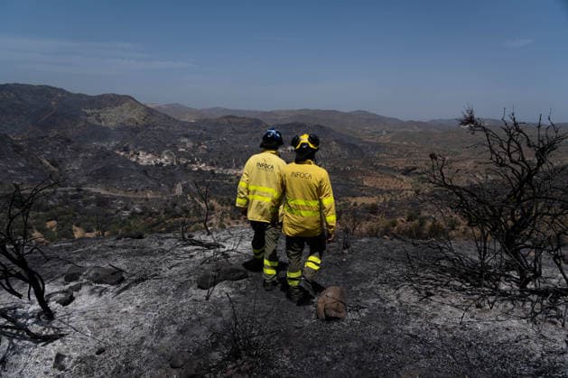 At least 12 dead in Los Gallardos wildfire in Almería, southern Spain - 11 Jul 2026 Two INFOCA wildfire firefighters seen during the operations to stabilize the Los Gallardos wildfire. The Los Gallardos wildfire in Almería, Spain, has left 12 people dead, 7 people missing, and more than 6,000 hectares burned. On the ground, around 540 personnel deployed by the Spanish Government are involved in the response, including members of the Civil Guard, Civil Protection, and the Military Emergency Unit (UME). Los Gallardos Spain Copyright: xFrancisxGonzalezx xSOPAxImagesx INCENDIO-ALMERIA-20260711-FRANCIS-050
