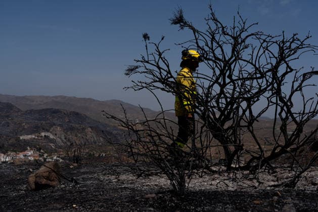 At least 12 dead in Los Gallardos wildfire in Almería, southern Spain - 11 Jul 2026 An INFOCA wildfire firefighter seen during the operations to stabilize the Los Gallardos wildfire. The Los Gallardos wildfire in Almería, Spain, has left 12 people dead, 7 people missing, and more than 6,000 hectares burned. On the ground, around 540 personnel deployed by the Spanish Government are involved in the response, including members of the Civil Guard, Civil Protection, and the Military Emergency Unit (UME). Los Gallardos Spain Copyright: xFrancisxGonzalezx xSOPAxImagesx INCENDIO-ALMERIA-20260711-FRANCIS-064
