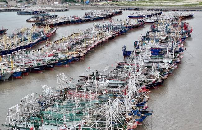 NINGDE, CHINA - JULY 11: Fishing boats return to port to take shelter from Typhoon Bavi on July 11, 2026 in Ningde, Fujian Province of China. The city Ningde upgraded typhoon emergency response to Level I at 9:30 a.m. on July 11 as Typhoon Bavi nears China s east coast.  Copyright: xChinaxNewsxServicex 111653656749