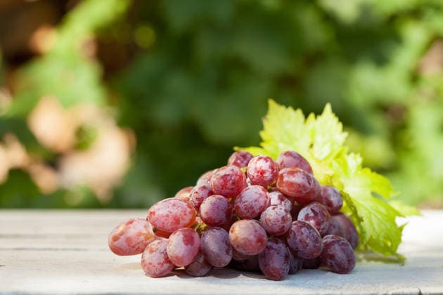 Rote Trauben Red grape on wooden table. Autumn vineyard harvest (License=RF) Copyright: xZoonar.com EvgenyxKarandaevx 25264119