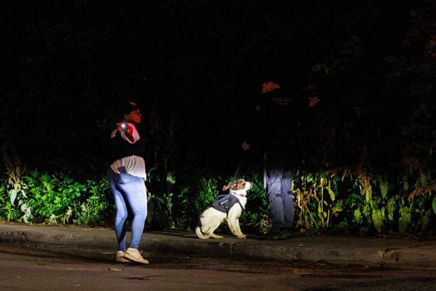 July 11, 2026, Toronto, On, Canada: A K-9 unit searches Benson street after a shooting at the Salsa on St. Clair event in Toronto, on Saturday, July 11, 2026. Toronto Canada  - ZUMAc35_ 20260711_zaf_c35_058 Copyright: xKeitoxNewmanx