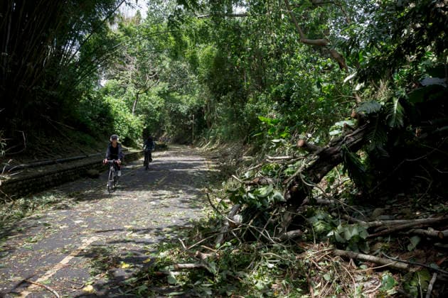 July 12, 2026, Taichung, Taiwan: People riding bikes pass by fallen leaves and branches that have been blown down by the strong winds along the bikeway in Taichung, Taiwan. The Central Weather Administration (CWA) lifted its land and sea warnings for Typhoon Bavi on Sunday morning as the storm weakened and moved away from Taiwan, after bringing heavy rain and strong winds to parts of the country. Taichung Taiwan  - ZUMAc217 20260712_zip_c217_003 Copyright: xAndrexM.xChangx