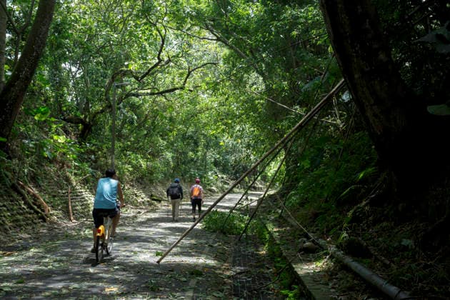 July 12, 2026, Taichung, Taiwan: People pass by fallen leaves and branches that have been blown down by the strong winds along the bikeway in Taichung, Taiwan. The Central Weather Administration (CWA) lifted its land and sea warnings for Typhoon Bavi on Sunday morning as the storm weakened and moved away from Taiwan, after bringing heavy rain and strong winds to parts of the country. Taichung Taiwan  - ZUMAc217 20260712_zip_c217_010 Copyright: xAndrexM.xChangx