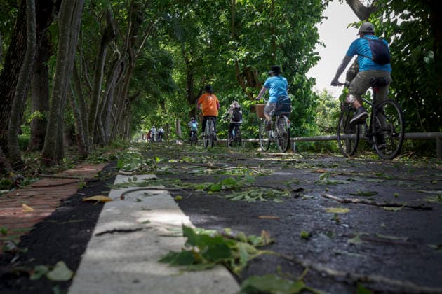 July 12, 2026, Taichung, Taiwan: People riding bikes pass by fallen leaves and branches that have been blown down by the strong winds along the bikeway in Taichung, Taiwan. The Central Weather Administration (CWA) lifted its land and sea warnings for Typhoon Bavi on Sunday morning as the storm weakened and moved away from Taiwan, after bringing heavy rain and strong winds to parts of the country. Taichung Taiwan  - ZUMAc217 20260712_zip_c217_013 Copyright: xAndrexM.xChangx