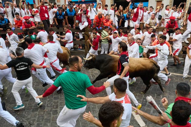 The sixth running of the bulls during the 2026 San Fermín Festival, featuring bulls from the La Palmosilla ranch, will take place on July 12, 2026, in Pamplona, Navarre, Spain. This year, bulls from the La Palmosilla ranch will headline the sixth running of the San Fermín Festival in Spain.  Copyright: xEduardoxSanzx 7660335