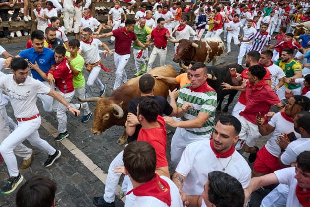 The sixth running of the bulls during the 2026 San Fermín Festival, featuring bulls from the La Palmosilla ranch, will take place on July 12, 2026, in Pamplona, Navarre, Spain. This year, bulls from the La Palmosilla ranch will headline the sixth running of the San Fermín Festival in Spain.  Copyright: xEduardoxSanzx 7660339