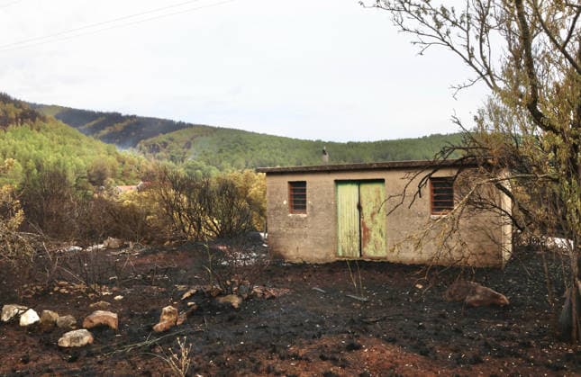 The morning after a major wildfire breaks out on Korcula Island between Smokvica and Blato The morning after a major wildfire breaks out on Korcula Island. When the rain stopped, the extent of the big fire came to light. Firefighters on the ground, with the help of the air force, repair the fires wherever possible. Burnt olive groves, vineyards, orchards and farmhouses are frightening scenes on the island of Korcula, Croatia, on July 12 2026.  IvoxCagalj PIXSELL