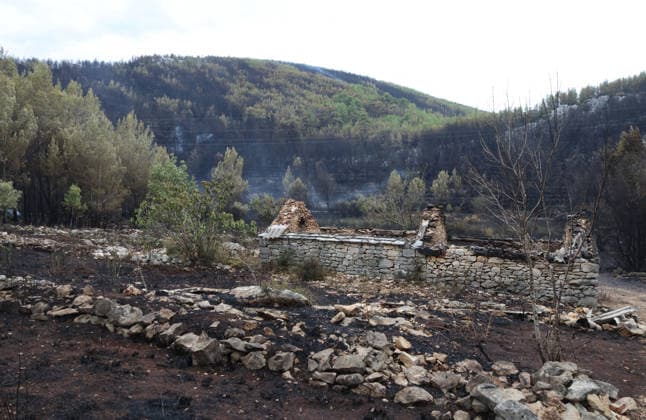 The morning after a major wildfire breaks out on Korcula Island between Smokvica and Blato The morning after a major wildfire breaks out on Korcula Island. When the rain stopped, the extent of the big fire came to light. Firefighters on the ground, with the help of the air force, repair the fires wherever possible. Burnt olive groves, vineyards, orchards and farmhouses are frightening scenes on the island of Korcula, Croatia, on July 12 2026.  IvoxCagalj PIXSELL