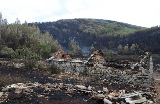 The morning after a major wildfire breaks out on Korcula Island between Smokvica and Blato The morning after a major wildfire breaks out on Korcula Island. When the rain stopped, the extent of the big fire came to light. Firefighters on the ground, with the help of the air force, repair the fires wherever possible. Burnt olive groves, vineyards, orchards and farmhouses are frightening scenes on the island of Korcula, Croatia, on July 12 2026.  IvoxCagalj PIXSELL