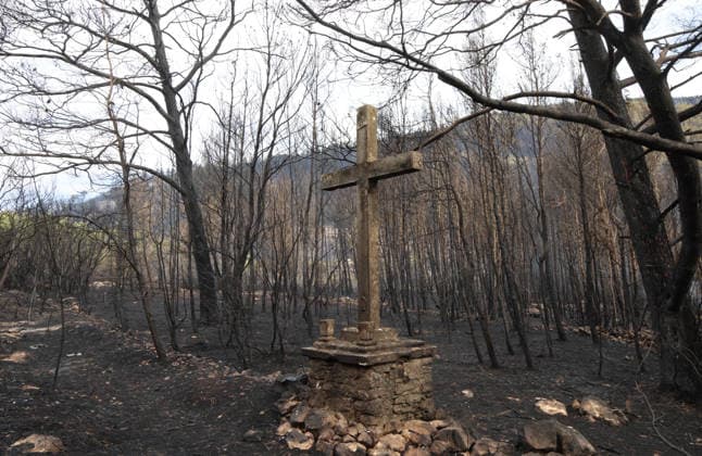 The morning after a major wildfire breaks out on Korcula Island between Smokvica and Blato The morning after a major wildfire breaks out on Korcula Island. When the rain stopped, the extent of the big fire came to light. Firefighters on the ground, with the help of the air force, repair the fires wherever possible. Burnt olive groves, vineyards, orchards and farmhouses are frightening scenes on the island of Korcula, Croatia, on July 12 2026.  IvoxCagalj PIXSELL