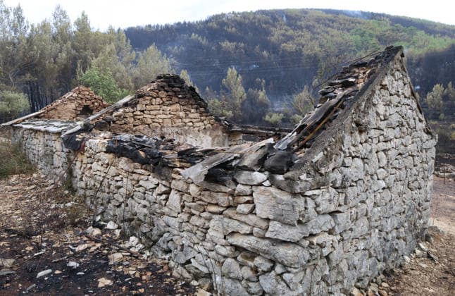 The morning after a major wildfire breaks out on Korcula Island between Smokvica and Blato The morning after a major wildfire breaks out on Korcula Island. When the rain stopped, the extent of the big fire came to light. Firefighters on the ground, with the help of the air force, repair the fires wherever possible. Burnt olive groves, vineyards, orchards and farmhouses are frightening scenes on the island of Korcula, Croatia, on July 12 2026.  IvoxCagalj PIXSELL