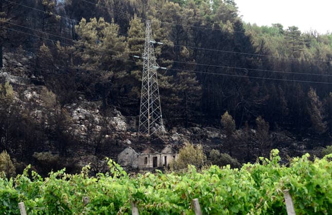 The morning after a major wildfire breaks out on Korcula Island between Smokvica and Blato The morning after a major wildfire breaks out on Korcula Island. When the rain stopped, the extent of the big fire came to light. Firefighters on the ground, with the help of the air force, repair the fires wherever possible. Burnt olive groves, vineyards, orchards and farmhouses are frightening scenes on the island of Korcula, Croatia, on July 12 2026.  IvoxCagalj PIXSELL