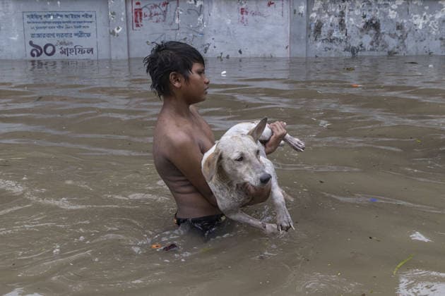 News Bilder des Tages Persistent rain leaves Dhaka waterlogged, disrupting daily life DHAKA, BANGLADESH - JULY 12: Continuous heavy rainfall over the past several days has caused widespread waterlogging across different parts of the capital, Dhaka, Bangladesh on July 12, 2026. Flooded roads, residential neighborhoods, and commercial areas have disrupted the daily lives of residents, with day laborers, pedestrians, schoolchildren, and families among those most affected. Waterlogged streets have severely hampered the movement of private vehicles and other transport, while the ground floors and entrances of many buildings have been inundated. Stray dogs have also struggled to navigate the flooded streets. The prolonged rainfall has significantly disrupted normal li  Copyright: x2026xAnadoluxAbdulxGonix