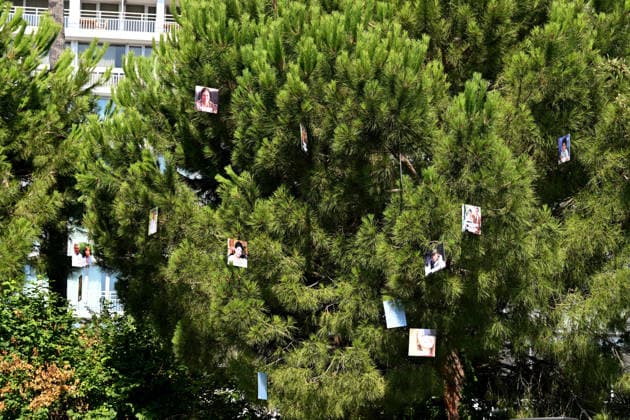 Commemorative White March in honor of the victims of the July 14, 2016, attack on the Promenade des Anglais in Nice, on July 12, 2026. The city of Nice and various victims’ associations organized a march, which began near Lenval Hospital, where the truck plowed into the crowd in 2016, killing 86 people and injuring more than 400. The procession stopped in front of the memorial sculpture *L’Ange de la Baie*, created by Jean Marie Fondacaro, for a wreath-laying ceremony before proceeding to the Albert I Garden, where everyone was able to place a white rose in front of the bandstand. The mayor of Nice, E. Ciotti, along with his partner O. Péraldi, the Prefect of the Alpes-Maritimes, L. Houttiaux, and members of his city council, such as Dep  Copyright: xBrunoxBebertx xBestimagexBrunoxBebertx xBestimagex