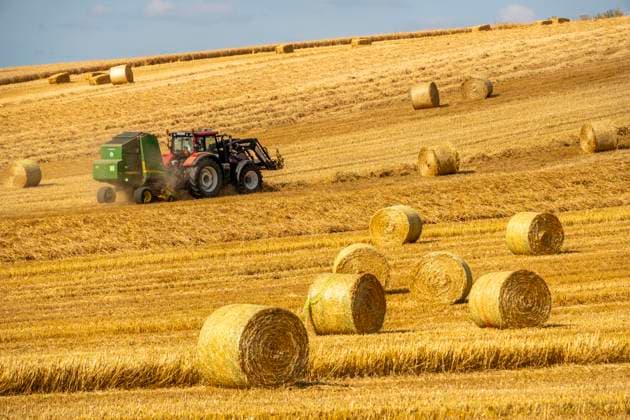 News Bilder des Tages Strohernte, nach der Getreideernte wird das Stroh, vorher gemäht, getrocknet und zu Reihen, s.g. Schwaden gelegt, von einer Rundballenpresse, von einem Traktor gezogen, aufgenommen, es wird darin zu komprimierten Ballen gepresst und auf dem Feld abgelegt, dient als Viehfutter, in Mülheim-Menden, Acker an der Mendener Straße, Hochsommer, Ernte bei über 30C, Mülheim an der Ruhr, NRW, Deutschland, Strohernte *** Straw Harvest: After the grain harvest, the straw—which has been mowed, dried, and laid out in rows (known as swaths)—is picked up by a round baler pulled by a tractor, where it is compressed into bales and set down in the field; it serves as livestock feed. In Mülheim-Menden, a field on Mendener Straße, in the height of summer, w