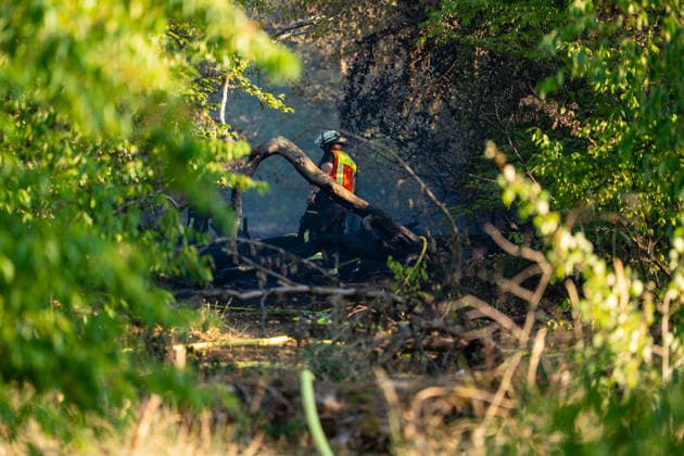 Waldbrand breitet sich schnell aus - Zahlreiche Feuerwehren im Einsatz - Flughafen Frankfurt in der Nähe Am Sonntagnachmittag, 12.07.2026, wurde die Feuerwehr Mörfelden-Walldorf unweit des Flughafen Frankfurt zu einem Waldbrand alarmiert. Die Flammen breiteten sich rasend schnell aus und erreichten auch die Baumwipfel. Betroffen war eine Fläche von 40.000 Quadratmetern, auf der es insgesamt fünf Brandstellen unterschiedlicher Größe gab. Feuerwehren aus der gesamten Umgebung wurden zur Unterstützung zusammengezogen. Am Abend konnte die Ausbreitung gestoppt werden. Einige Bereiche konnte nicht betreten werden, da hier noch alte Munition im Boden vermutet wird. Die Löscharbeiten der Feuerwehr dauerten noch bis tief in die Nacht. Mörfe