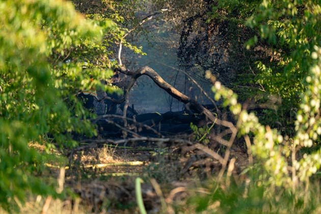 Waldbrand breitet sich schnell aus - Zahlreiche Feuerwehren im Einsatz - Flughafen Frankfurt in der Nähe Am Sonntagnachmittag, 12.07.2026, wurde die Feuerwehr Mörfelden-Walldorf unweit des Flughafen Frankfurt zu einem Waldbrand alarmiert. Die Flammen breiteten sich rasend schnell aus und erreichten auch die Baumwipfel. Betroffen war eine Fläche von 40.000 Quadratmetern, auf der es insgesamt fünf Brandstellen unterschiedlicher Größe gab. Feuerwehren aus der gesamten Umgebung wurden zur Unterstützung zusammengezogen. Am Abend konnte die Ausbreitung gestoppt werden. Einige Bereiche konnte nicht betreten werden, da hier noch alte Munition im Boden vermutet wird. Die Löscharbeiten der Feuerwehr dauerten noch bis tief in die Nacht. Mörfe