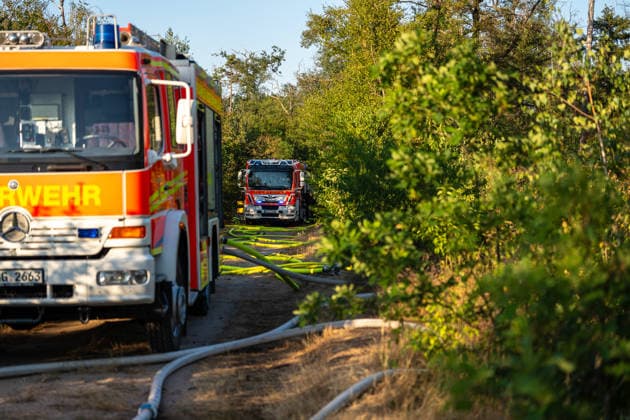 Waldbrand breitet sich schnell aus - Zahlreiche Feuerwehren im Einsatz - Flughafen Frankfurt in der Nähe Am Sonntagnachmittag, 12.07.2026, wurde die Feuerwehr Mörfelden-Walldorf unweit des Flughafen Frankfurt zu einem Waldbrand alarmiert. Die Flammen breiteten sich rasend schnell aus und erreichten auch die Baumwipfel. Betroffen war eine Fläche von 40.000 Quadratmetern, auf der es insgesamt fünf Brandstellen unterschiedlicher Größe gab. Feuerwehren aus der gesamten Umgebung wurden zur Unterstützung zusammengezogen. Am Abend konnte die Ausbreitung gestoppt werden. Einige Bereiche konnte nicht betreten werden, da hier noch alte Munition im Boden vermutet wird. Die Löscharbeiten der Feuerwehr dauerten noch bis tief in die Nacht. Mörfe