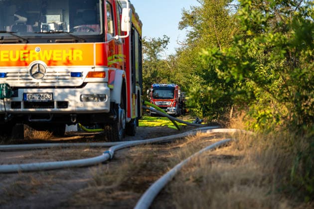 Waldbrand breitet sich schnell aus - Zahlreiche Feuerwehren im Einsatz - Flughafen Frankfurt in der Nähe Am Sonntagnachmittag, 12.07.2026, wurde die Feuerwehr Mörfelden-Walldorf unweit des Flughafen Frankfurt zu einem Waldbrand alarmiert. Die Flammen breiteten sich rasend schnell aus und erreichten auch die Baumwipfel. Betroffen war eine Fläche von 40.000 Quadratmetern, auf der es insgesamt fünf Brandstellen unterschiedlicher Größe gab. Feuerwehren aus der gesamten Umgebung wurden zur Unterstützung zusammengezogen. Am Abend konnte die Ausbreitung gestoppt werden. Einige Bereiche konnte nicht betreten werden, da hier noch alte Munition im Boden vermutet wird. Die Löscharbeiten der Feuerwehr dauerten noch bis tief in die Nacht. Mörfe