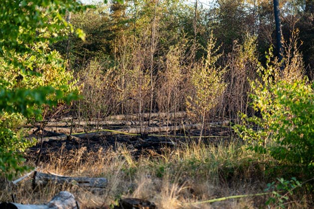 Waldbrand breitet sich schnell aus - Zahlreiche Feuerwehren im Einsatz - Flughafen Frankfurt in der Nähe Am Sonntagnachmittag, 12.07.2026, wurde die Feuerwehr Mörfelden-Walldorf unweit des Flughafen Frankfurt zu einem Waldbrand alarmiert. Die Flammen breiteten sich rasend schnell aus und erreichten auch die Baumwipfel. Betroffen war eine Fläche von 40.000 Quadratmetern, auf der es insgesamt fünf Brandstellen unterschiedlicher Größe gab. Feuerwehren aus der gesamten Umgebung wurden zur Unterstützung zusammengezogen. Am Abend konnte die Ausbreitung gestoppt werden. Einige Bereiche konnte nicht betreten werden, da hier noch alte Munition im Boden vermutet wird. Die Löscharbeiten der Feuerwehr dauerten noch bis tief in die Nacht. Mörfe