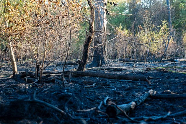 Waldbrand breitet sich schnell aus - Zahlreiche Feuerwehren im Einsatz - Flughafen Frankfurt in der Nähe Am Sonntagnachmittag, 12.07.2026, wurde die Feuerwehr Mörfelden-Walldorf unweit des Flughafen Frankfurt zu einem Waldbrand alarmiert. Die Flammen breiteten sich rasend schnell aus und erreichten auch die Baumwipfel. Betroffen war eine Fläche von 40.000 Quadratmetern, auf der es insgesamt fünf Brandstellen unterschiedlicher Größe gab. Feuerwehren aus der gesamten Umgebung wurden zur Unterstützung zusammengezogen. Am Abend konnte die Ausbreitung gestoppt werden. Einige Bereiche konnte nicht betreten werden, da hier noch alte Munition im Boden vermutet wird. Die Löscharbeiten der Feuerwehr dauerten noch bis tief in die Nacht. Mörfe