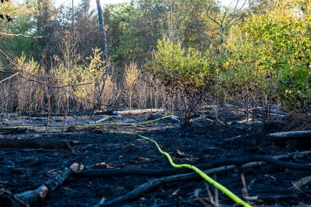 Waldbrand breitet sich schnell aus - Zahlreiche Feuerwehren im Einsatz - Flughafen Frankfurt in der Nähe Am Sonntagnachmittag, 12.07.2026, wurde die Feuerwehr Mörfelden-Walldorf unweit des Flughafen Frankfurt zu einem Waldbrand alarmiert. Die Flammen breiteten sich rasend schnell aus und erreichten auch die Baumwipfel. Betroffen war eine Fläche von 40.000 Quadratmetern, auf der es insgesamt fünf Brandstellen unterschiedlicher Größe gab. Feuerwehren aus der gesamten Umgebung wurden zur Unterstützung zusammengezogen. Am Abend konnte die Ausbreitung gestoppt werden. Einige Bereiche konnte nicht betreten werden, da hier noch alte Munition im Boden vermutet wird. Die Löscharbeiten der Feuerwehr dauerten noch bis tief in die Nacht. Mörfe