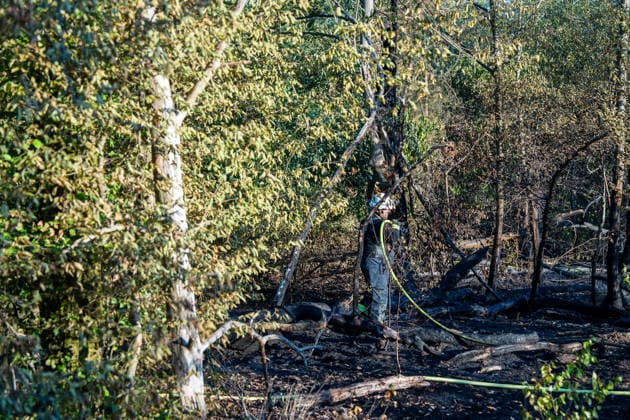 Waldbrand breitet sich schnell aus - Zahlreiche Feuerwehren im Einsatz - Flughafen Frankfurt in der Nähe Am Sonntagnachmittag, 12.07.2026, wurde die Feuerwehr Mörfelden-Walldorf unweit des Flughafen Frankfurt zu einem Waldbrand alarmiert. Die Flammen breiteten sich rasend schnell aus und erreichten auch die Baumwipfel. Betroffen war eine Fläche von 40.000 Quadratmetern, auf der es insgesamt fünf Brandstellen unterschiedlicher Größe gab. Feuerwehren aus der gesamten Umgebung wurden zur Unterstützung zusammengezogen. Am Abend konnte die Ausbreitung gestoppt werden. Einige Bereiche konnte nicht betreten werden, da hier noch alte Munition im Boden vermutet wird. Die Löscharbeiten der Feuerwehr dauerten noch bis tief in die Nacht. Mörfe