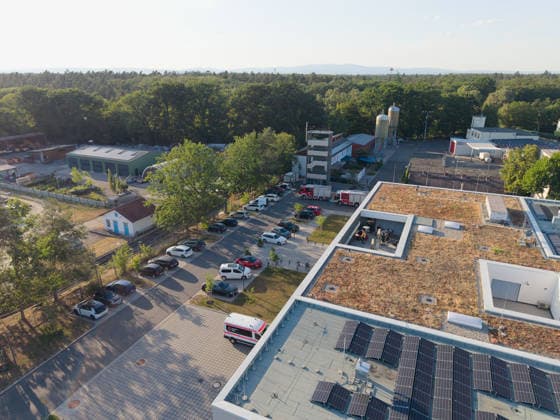 Waldbrand breitet sich schnell aus - Zahlreiche Feuerwehren im Einsatz - Flughafen Frankfurt in der Nähe Am Sonntagnachmittag, 12.07.2026, wurde die Feuerwehr Mörfelden-Walldorf unweit des Flughafen Frankfurt zu einem Waldbrand alarmiert. Die Flammen breiteten sich rasend schnell aus und erreichten auch die Baumwipfel. Betroffen war eine Fläche von 40.000 Quadratmetern, auf der es insgesamt fünf Brandstellen unterschiedlicher Größe gab. Feuerwehren aus der gesamten Umgebung wurden zur Unterstützung zusammengezogen. Am Abend konnte die Ausbreitung gestoppt werden. Einige Bereiche konnte nicht betreten werden, da hier noch alte Munition im Boden vermutet wird. Die Löscharbeiten der Feuerwehr dauerten noch bis tief in die Nacht. Mörfe