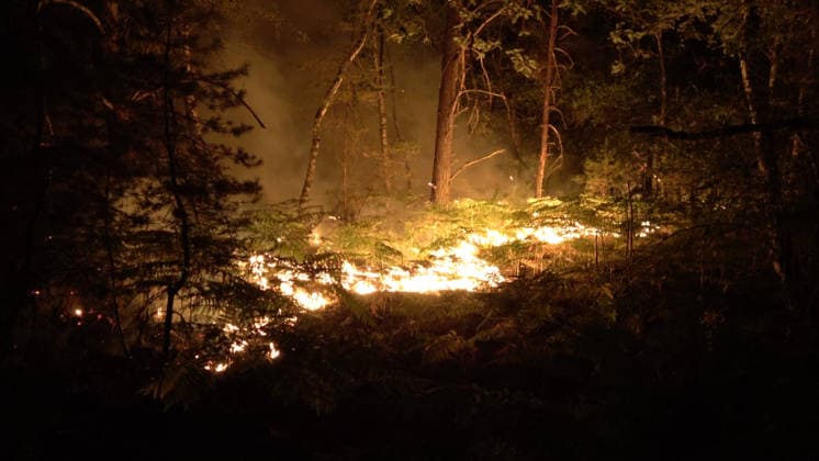 Firefighters Battle Exceptional Wildfire In Fontainebleau Forest - Le Vaudoue Firefighters battle an exceptionally large wildfire in the Fontainebleau Forest near the A6 motorway in Le Vaudoue, Seine-et-Marne, France on July 13, 2026, as more than 370 firefighters and 130 vehicles from the SDIS77 fire service work to contain multiple blazes described as very virulent, with two water-bombing aircraft dispatched as reinforcements from southern France, and several road diversions put in place on the A6 motorway. Photo by CLPress ABACAPRESS.COM Le Vaudoue France  Copyright: xCLPRESS ABACAx
