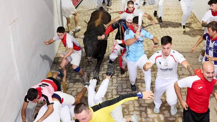 Pamplona. Navarra. 13 julio 2026. Fiestas. Sanfermines. Encierro SÃ ptimo encierro de San Fermin 2026 con toros de la ganaderia de Miura en el tramo del callejon y entrada a la plaza, en Pamplona a 13 de julio de 2026. CrÃ dito: Inigo Alzugaray Cordon Press Cordon Press 