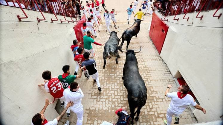 Pamplona. Navarra. 13 julio 2026. Fiestas. Sanfermines. Encierro SÃ ptimo encierro de San Fermin 2026 con toros de la ganaderia de Miura en el tramo del callejon y entrada a la plaza, en Pamplona a 13 de julio de 2026. CrÃ dito: Inigo Alzugaray Cordon Press Cordon Press  InigoxAlzugaray @ialzu