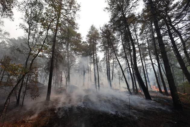 FONTAINEBLEAU FIRE PHOTOPQR LE PARISIEN Le Parisien Arnaud Journois FONTAINEBLEAU July 13, 2026 Fontainebleau Forest, Seine-et-Marne, on July 13, 2026 Fire in the Fontainebleau Forest Photo: Le Parisien, Arnaud Journois, Fontainebleau, France, July 13, 2026. The Fontainebleau Forest is on fire, south of Paris. FONTAINEBLEAU, France  Copyright: xPHOTOPQR LExPARISIEN MAXPPPxLexParisienx xArnaudxJournoisx 20260713LPA4425 20260713LPA4425