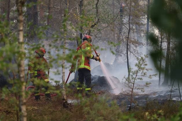 FONTAINEBLEAU FIRE PHOTOPQR LE PARISIEN Le Parisien Arnaud Journois FONTAINEBLEAU July 13, 2026 Fontainebleau Forest, Seine-et-Marne, on July 13, 2026 Fire in the Fontainebleau Forest Photo: Le Parisien, Arnaud Journois, Fontainebleau, France, July 13, 2026. The Fontainebleau Forest is on fire, south of Paris. FONTAINEBLEAU, France  Copyright: xPHOTOPQR LExPARISIEN MAXPPPxLexParisienx xArnaudxJournoisx 20260713LPA4431 20260713LPA4431