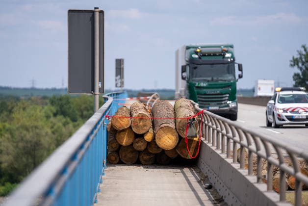 RECORD DATE NOT STATED Lastwagen kippt auf Autobahnbrücke um 25 Baumstämme stürzen auf Fahrbahn und in den Rhein Am 13.07.2026 kam es um 11:37 Uhr auf der A60 im Bereich der Weisenauer Brücke in Mainz zu einem Verkehrsunfall, bei dem der Anhänger eines mit Baumstämmen beladenen Lastkraftwagens umkippte. Etwa 25 Baumstämme stürzten herab, blockierten die Fahrbahn und einen Fahrradweg, eine unbekannte Anzahl fiel über das Brückengeländer in den Rhein. Die Wasserschutzpolizei machte das im Wasser liegende Holz ausfindig. Fahrbahn, Leitplanke und das äußere Brückengeländer wurden erheblich beschädigt, der Sachschaden wird auf ca. 25.000 Euro geschätzt. Die A60 in Fahrtrichtung Bingen ist ab der Anschlussstelle Bischofsheim derzeit voll gesperrt.