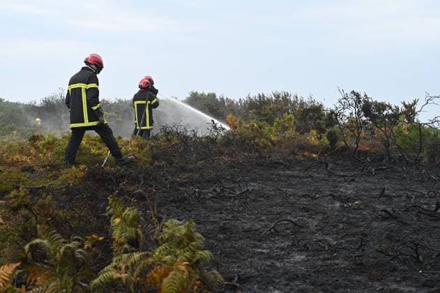 RECORD DATE NOT STATED FIRE AT CAP FRÉHEL SITE PHOTOPQR OUEST FRANCE Elsa Rancel Ouest France PAIMPOL Heath fire in the Cap Fréhel area, in Plévenon, Côtes-d Armor, July 13, 2026 Throughout the night from Sunday, July 12, to Monday, July 13, 2026, firefighters battled two heathland fires that broke out around 9:30 p.m., in the Cap Fréhel and Fort La Latte areas in Plévenon, Côtes d’Armor. A campground had to be evacuated, and the GR 34 trail is closed. Elsa Rancel, Ouest France, Plévenon, Brittany, France, July 13 Fires in Cap Fréhel, Paimpol, France  Copyright: xPHOTOPQR OUESTxFRANCE MAXPPPxElsaxRancelx xOuest-Francex 20260713OFR4572 20260713OFR4572