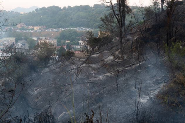 Wildfire erupts near Campi Flegrei volcanic area in Italy POZZUOLI, ITALY - JULY 13: A view of burnt trees as smoke rises from a big wildfire in the Pisciarelli area located on the outer edge of the Solfatara volcanic crater in the Campi Flegrei (Phlegraean Fields) volcanic region in Pozzuoli on July 13, 2026. The fire broke out in the undergrowth and quickly spread to several car dealerships, causing fuel tanks and tyres to explode. Eliano Imperato Anadolu Pozzuoli Italy. Editorial use only. Please get in touch for any other usage.  Copyright: x2026xAnadoluxElianoxImperatox