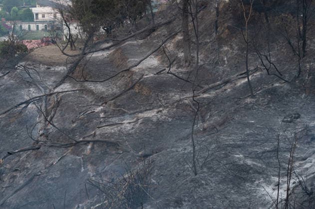 Wildfire erupts near Campi Flegrei volcanic area in Italy POZZUOLI, ITALY - JULY 13: A view of burnt trees as smoke rises from a big wildfire in the Pisciarelli area located on the outer edge of the Solfatara volcanic crater in the Campi Flegrei (Phlegraean Fields) volcanic region in Pozzuoli on July 13, 2026. The fire broke out in the undergrowth and quickly spread to several car dealerships, causing fuel tanks and tyres to explode. Eliano Imperato Anadolu Pozzuoli Italy. Editorial use only. Please get in touch for any other usage.  Copyright: x2026xAnadoluxElianoxImperatox