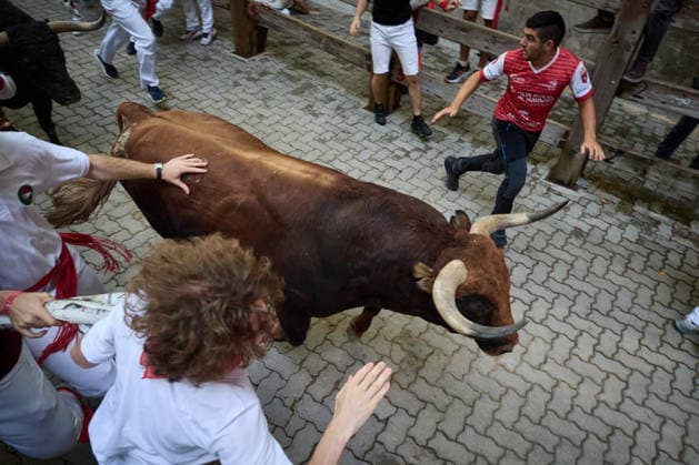The eighth and final bull run of the 2026 San Fermin Festival, featuring bulls from the Jandilla ranch, will take place on July 14, 2026, in Pamplona, Navarre, Spain. The bulls from the Jandilla ranch will bring the San Fermín festivities to a close with their participation in the eighth running of the festival in Spain.  Copyright: xEduardoxSanzx 7663042