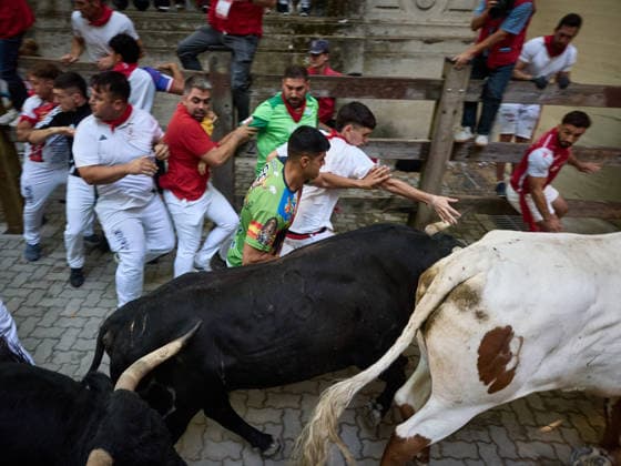 The eighth and final bull run of the 2026 San Fermin Festival, featuring bulls from the Jandilla ranch, will take place on July 14, 2026, in Pamplona, Navarre, Spain. The bulls from the Jandilla ranch will bring the San Fermín festivities to a close with their participation in the eighth running of the festival in Spain.  Copyright: xEduardoxSanzx 7663048