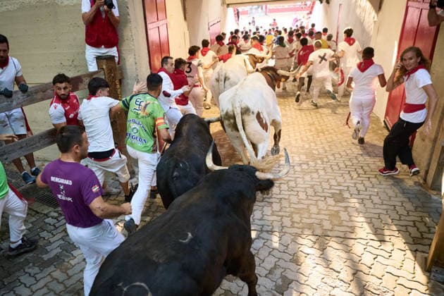 The eighth and final bull run of the 2026 San Fermin Festival, featuring bulls from the Jandilla ranch, will take place on July 14, 2026, in Pamplona, Navarre, Spain. The bulls from the Jandilla ranch will bring the San Fermín festivities to a close with their participation in the eighth running of the festival in Spain.  Copyright: xEduardoxSanzx 7663049