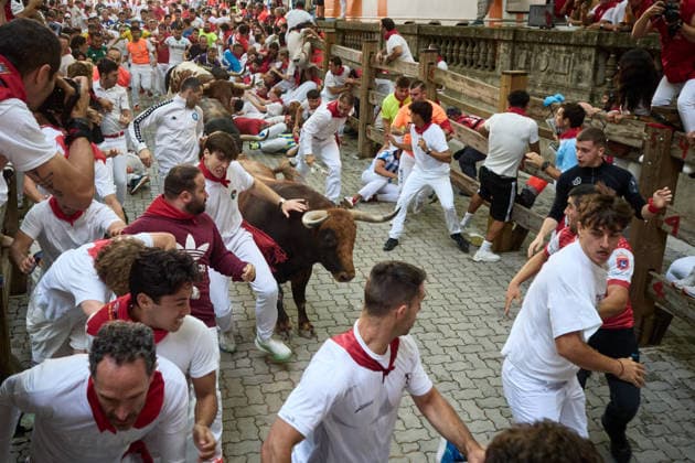 The eighth and final bull run of the 2026 San Fermin Festival, featuring bulls from the Jandilla ranch, will take place on July 14, 2026, in Pamplona, Navarre, Spain. The bulls from the Jandilla ranch will bring the San Fermín festivities to a close with their participation in the eighth running of the festival in Spain.  Copyright: xEduardoxSanzx 7663050