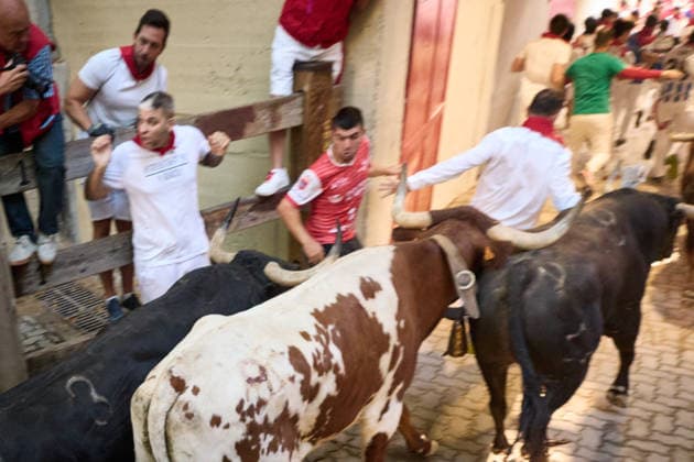 The eighth and final bull run of the 2026 San Fermin Festival, featuring bulls from the Jandilla ranch, will take place on July 14, 2026, in Pamplona, Navarre, Spain. The bulls from the Jandilla ranch will bring the San Fermín festivities to a close with their participation in the eighth running of the festival in Spain.  Copyright: xEduardoxSanzx 7663051