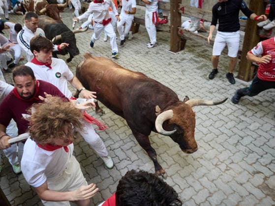 The eighth and final bull run of the 2026 San Fermin Festival, featuring bulls from the Jandilla ranch, will take place on July 14, 2026, in Pamplona, Navarre, Spain. The bulls from the Jandilla ranch will bring the San Fermín festivities to a close with their participation in the eighth running of the festival in Spain.  Copyright: xEduardoxSanzx 7663052