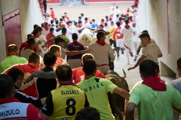 The eighth and final bull run of the 2026 San Fermin Festival, featuring bulls from the Jandilla ranch, will take place on July 14, 2026, in Pamplona, Navarre, Spain. The bulls from the Jandilla ranch will bring the San Fermín festivities to a close with their participation in the eighth running of the festival in Spain.  Copyright: xEduardoxSanzx 7663056