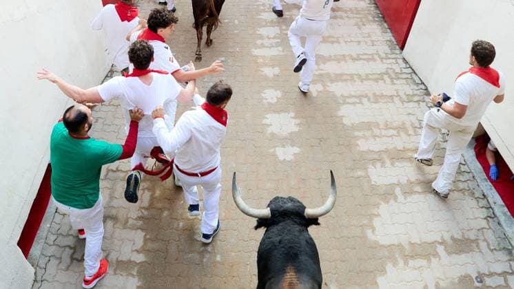 Last running of the bulls of San Fermin 2026 with bulls from the Jandilla ranch in the section of the alley and entrance to the square, in Pamplona on July 14, 2026. Ultimo encierro de San Fermin 2026 con toros de la ganaderia de Jandilla en el tramo del callejon y entrada a la plaza, en Pamplona a 14 de julio de 2026. Inigo Alzugaray Cordon Press Cordon Press  InigoxAlzugaray @ialzu