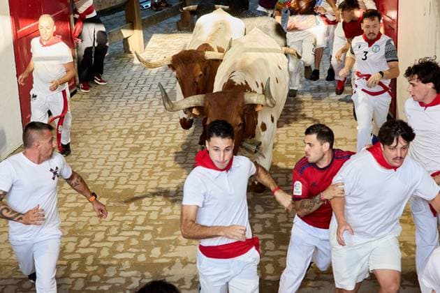 Last running of the bulls of San Fermin 2026 with bulls from the Jandilla ranch in the section of the alley and entrance to the square, in Pamplona on July 14, 2026. Ultimo encierro de San Fermin 2026 con toros de la ganaderia de Jandilla en el tramo del callejon y entrada a la plaza, en Pamplona a 14 de julio de 2026. Inigo Alzugaray Cordon Press Cordon Press  InigoxAlzugaray @ialzu