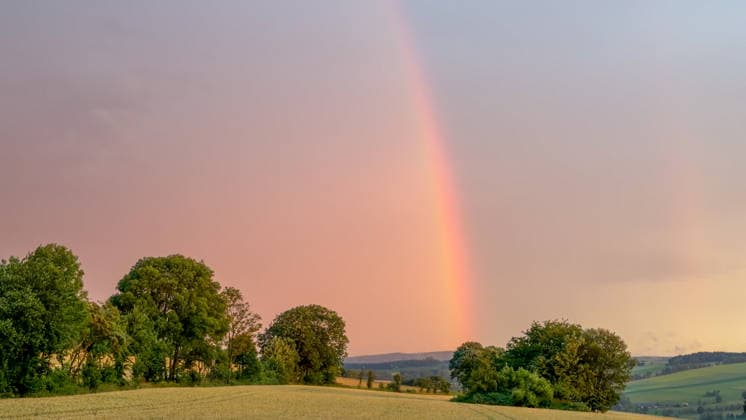 Eine heftige Unwetterfront erreichte am Dienstagmorgen gegen 5 Uhr Sachsen und hier vor allem den Erzgebirgskreis. Heftige Blitzentladungen und intensiver Starkregen sorgten für zahlreiche Feuerwehreinsätze. In Annaberg-Buchholz kamen die Feuerwehren aus Annaberg, Buchholz und Frohnau zum Einsatz. Auf der Talstraße stand die Bahnunterführung unter Wasser. Ein PKW stand im Wasser. Die Feuerwehr musste die Gullys öffnen, damit das Wasser abfließen konnte. Danach wurde die Fahrbahn gereinigt. Auf der Hüttengrundstraße Sehmatalstraße gingen Schlammmassen ab. Die Feuerwehr reinigte hier die Fahrbahn. Die Kameraden waren knapp 5 Stunden im Einsatz. Einsatzleiter Heiko Pietzsch: Es hat den Stadtkern voll getroffen. Es waren sehr viele B